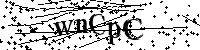 Please type the letters and numbers below