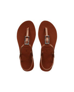 You Paraty Buckle Turtle